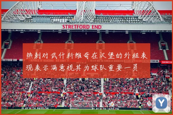 热刺对武什科维奇在汉堡的外租表现表示满意视其为球队重要一员