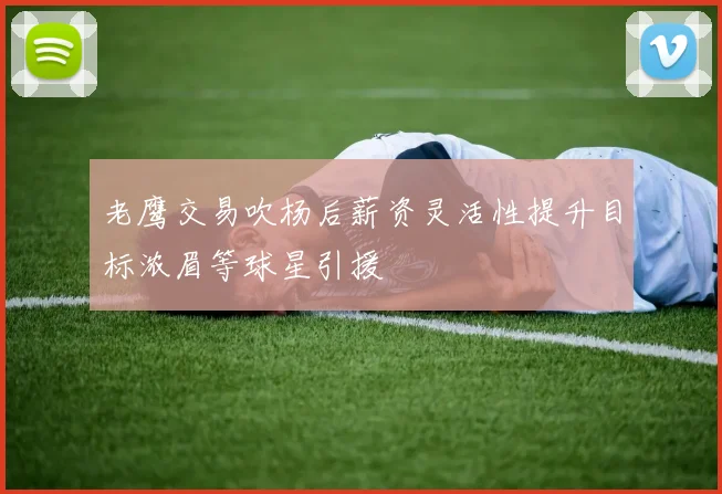 老鹰交易吹杨后薪资灵活性提升目标浓眉等球星引援