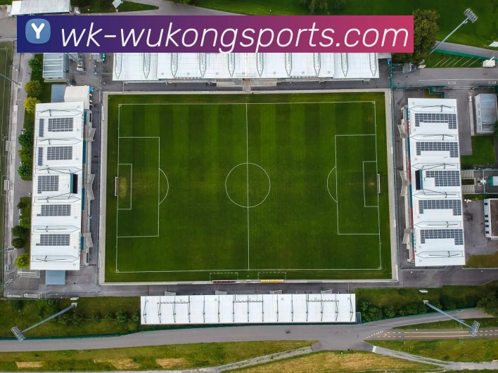 悟空体育发展历程